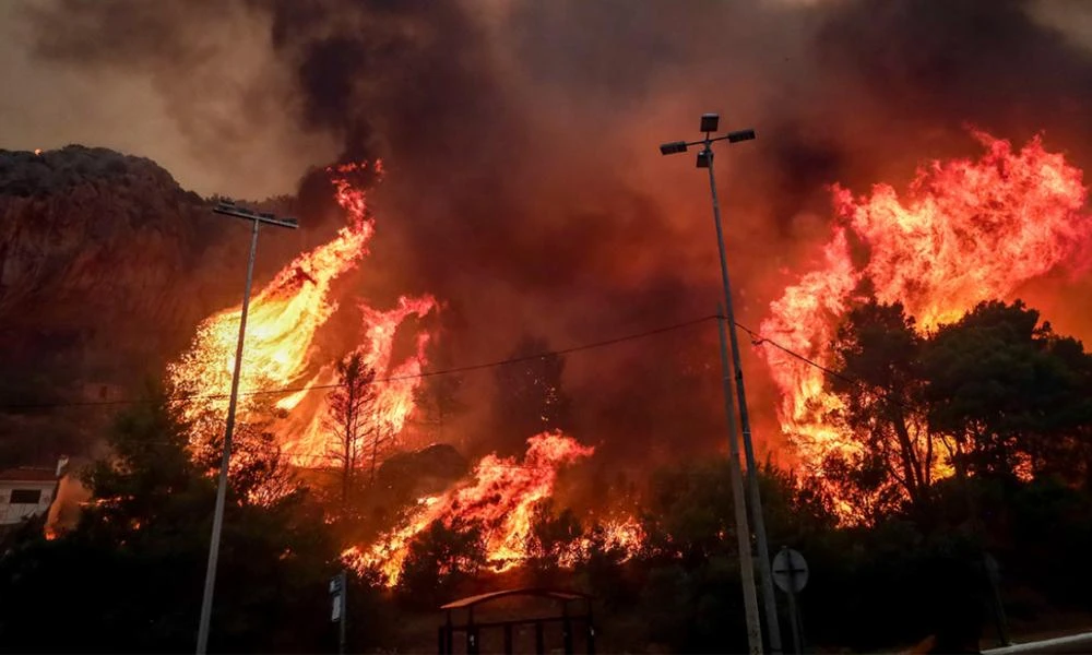 Αργολίδα: Οριοθετήθηκε η φωτιά που είχε ξεσπάσει δασική έκταση στην περιοχή Προσύμνη